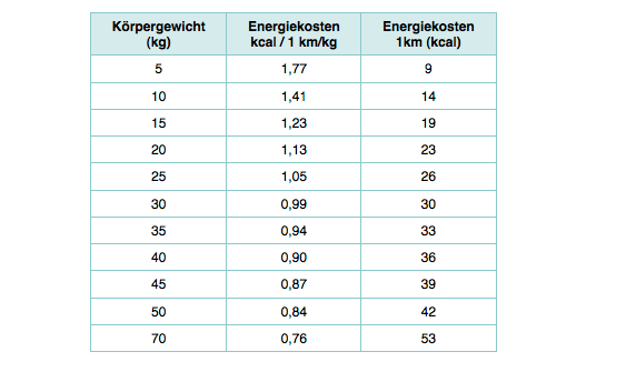 Wieviel kcal verbraucht ein Hund auf 1 km