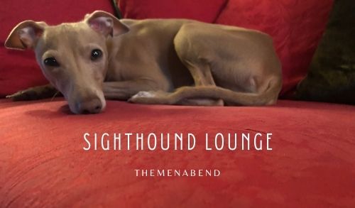 Themenabend Sighthound-Lounge