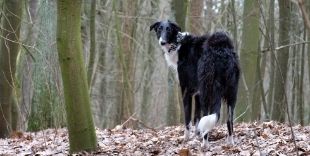 Termin online finden und buchen