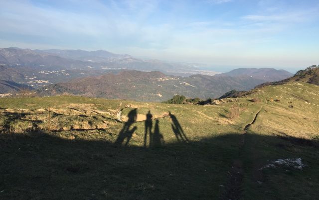 Escaping from Winter - Urlaub mit Windhund und Podenco