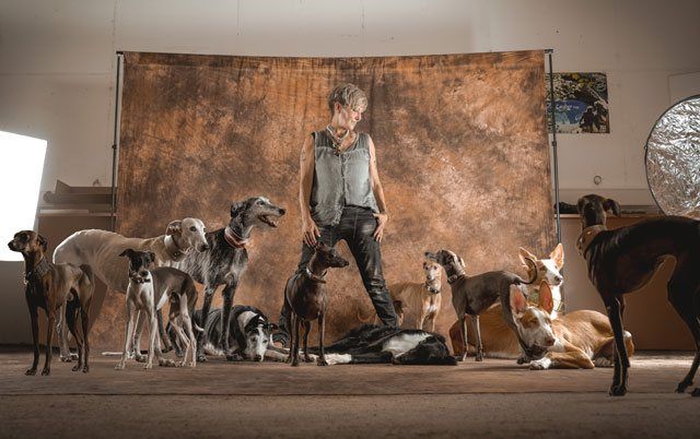 Hundetraining für Windhund und Podenco