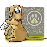 1. Hilfe Kurs für Windhund, Podenco zum Windhundseminar 2015